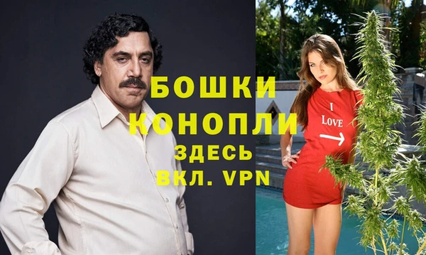 СК Михайлов