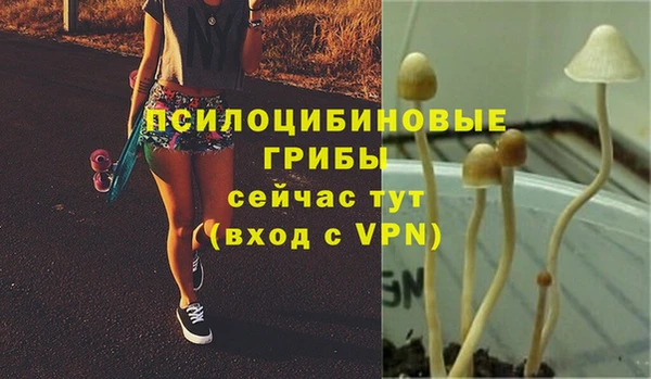 СК Михайлов