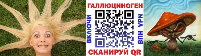 Псилоцибиновые грибы Magic Shrooms  Химки 